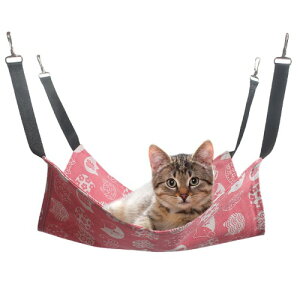 MAEXUS L nbN ݂艺xbh P[W Q[Wp L׃bh tėp y ʋC ω׏d10KG ybgxbh LpnbN \ tbN L͂P[Wp TCYM 35cm x 35cm