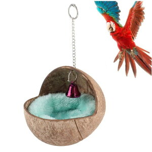 j[Nȏȓq̑ARRibc̒̑AIJCRCR̍i