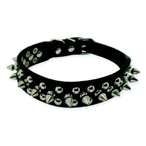 (AEv) ̎ X^bY Ch gQgQ 5  \ ^ ^ ^ L 킢  (ubN, S)