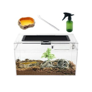 Reptile Growth ঒ P[W  ঒ރP[W e p JT ^N ޗpP[X {bNX 30*18*15cm, JANAJGAQbRAJ}LAwrAT\AN