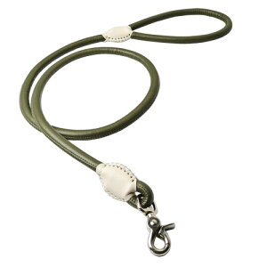 Beanspet pU[[h ی^ ₷ }CNt@Co[U[ v  ^ ^ ^ Up o[iXJ 4F 2TCY (J[L, S,1.2m)