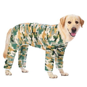 Jimjis    Ђ N[xXg  ̕  pxXg  ⊴ ybg  ʋCbV ѕ ^ ^ UoEFA tďH hbOEFA xXg