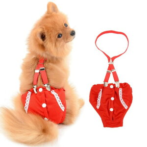 SMALLLEE_LUCKY_STORE }i[EFA ̎q  ނTXy_[ ppc XJ[g L V Xybg̉pIc,[X,ԐF