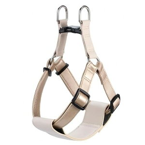 Beanspet pU[n[lX ^ ^ ăpbht {v }CNt@Co[U[ 4TCY 4J[ \  Up (S[h, L)