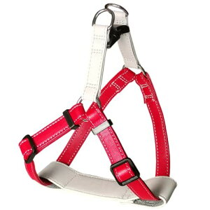 Beanspet pU[n[lX ^ ^ ăpbht {v }CNt@Co[U[ 4TCY 4J[ \  Up (bh, L)