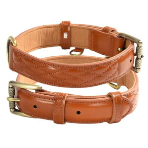 Beanspet p {v LeBOH ^ ^ ^Ή J[ vȃ_uXeb` XG[hn XS`XLTCYΉ U[J[ (LuE, XS)