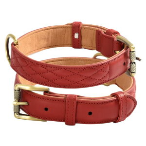 Beanspet p {v LeBOH ^ ^ ^Ή J[ vȃ_uXeb` XG[hn XS`XLTCYΉ U[J[ (bh, S)