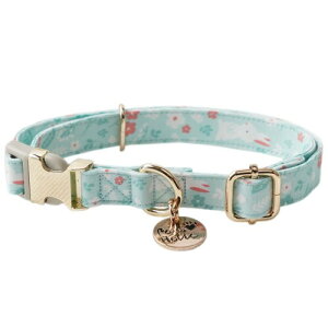   100% ̎ ^A^A^p q  y ybgpi  ʋC _炩 ߉\ ȒPE 킢 i\ MTCYj