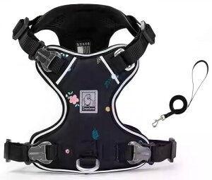 cocomall 2025ŐVn[lX[hZbg TRUE LOVE{X pփ[hZbg qpA^p ALpAiC 3Mˑf y ʋC _炩 bVybg ₷ 