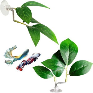  wlH zՕt Ϗ܋ Mы   Y ɐBp B ^NfR[V ̑ 萅i (A 2_Zbg)