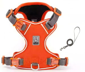 cocomall 2025最新犬ハーネスリードセット TRUE LOVE日本授権店 犬用胴輪リードセット 子犬用、小型犬用 、猫用、ナイロン 3M反射素材 軽量 通気性 柔らかい メッシュペット 装着しやすい お