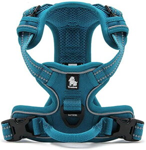 cocomall pn[lX p hbO ybgpi on[lX 3Mˍޗ P iC ^A^A^Ɍ ʋC ߉\ (S, Cu[)