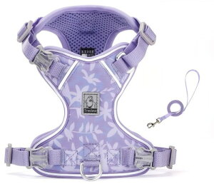 cocomall 2025ŐVn[lX[hZbg TRUE LOVE{X pփ[hZbg qpA^p ALpAiC 3Mˑf y ʋC _炩 bVybg ₷ 