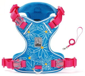 cocomall 2025ŐVn[lX[hZbg TRUE LOVE{X pփ[hZbg qpA^p ALpAiC 3Mˑf y ʋC _炩 bVybg ₷ 