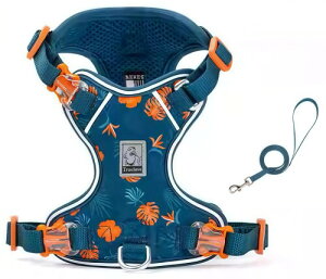 cocomall 2025ŐVn[lX[hZbg TRUE LOVE{X pփ[hZbg qpA^p ALpAiC 3Mˑf y ʋC _炩 bVybg ₷ 