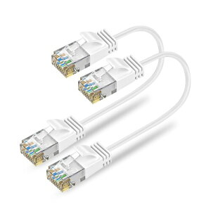 Ankuly Cat6A LANP[u ZP[u S0.3m 24{Zbg RJ45RlN^ 10Gbps T[o[ Ɨl LP[u zCg Ɩłƒł