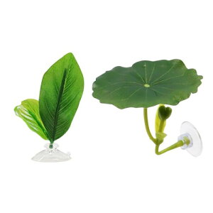 BRIIKPP x^xbh[t gx^̗̋t zՕt 2Zb  ANAE Y ɐBp