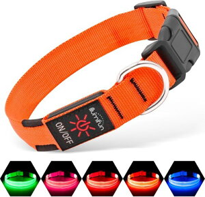 Illumifun   [d  U Cg h ߉\ ԈS ybgpi LED   F500mŖԂS yʏ^ ^ ^ (IW, M)