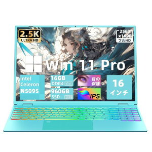 16C`ʃm[gp\Rp\Rm[g/CeCeleron N5095CPU 2.00GHz`2.90GHz/2.5KtIPS 𑜓x(2560*1600)/DDR4 16GB/SSD 960GB/wFؕt/O[ PC/Lxȋ@\laptop/I