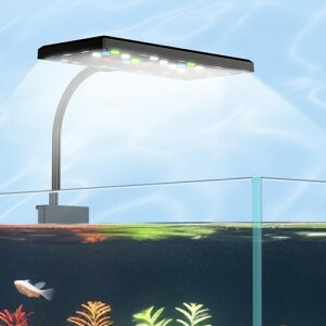 Cg LEDCg Ɩ ANAECg ^v MыCg ^C}[t 3_[h 10iK邳 usbd 360x 30LED ΐԌ Nbv  ȃGl 