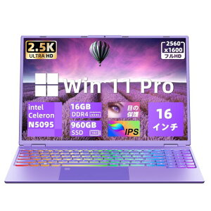 16C`ʃm[gp\Rp\Rm[g/CeCeleron N5095CPU 2.00GHz`2.90GHz/2.5KtIPS 𑜓x(2560*1600)/DDR4 16GB/SSD 960GB/wFؕt/p[v PC/Lxȋ@\laptop/I