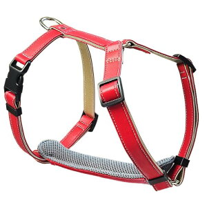 Beanspet  n[lX U[ \tgpbh ɂ \ y 4TCY 4F ^ ^ Up  }CNt@Co[f (bh, XS)