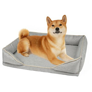 Alien Pet  xbh ybgNbV |₷ ybg\t@[ p 􂦂 炳 ʋC ɂ  OJo[ ~ I[V[Y  LiMj