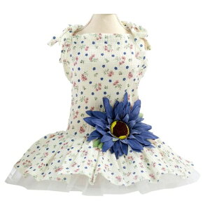 ̃hXqXJ[g̕vZXhX̃CujOhXccXJ[gfCW[t[XJ[gȌ̏̎q̂߂ S O[