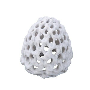 E͑TS΂̃GrnEX - zՕtّ_bWnEXi7×8Z`[gjȃGr⋛̔ɐBA@\sKEiiANZT[