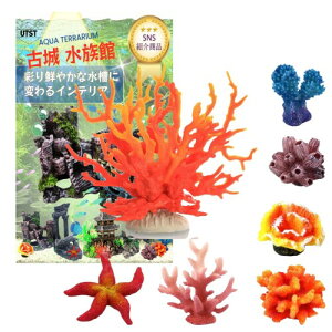 UTST lHX ANAE IuWF TS pi (IW{6Zbg)