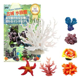 UTST lHX ANAE IuWF TS pi (zCg{6Zbg)