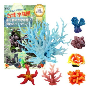 UTST lHX ANAE IuWF TS pi (u[{6Zbg)