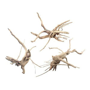 emours ٗp  VRN ؂̎}   lXȃTCY 3pbN (S/M-3pbN)