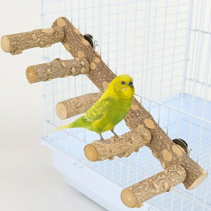 ~܂ 5A Ki ܂𖁂 ނ R  xݑ Vя oXK XgX?