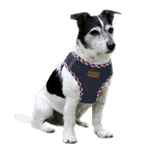 Aiminto fjpn[lXAʋC̍bVfށAyʁAn[lXɔˍޕt - ^p (n[lX(_[N u[), XS͈32-36cm)