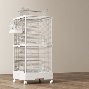 Ruexue  ybgP[W AN _ubN݌v ȒP| @\g  CR KȂǏp (XeX, ow)