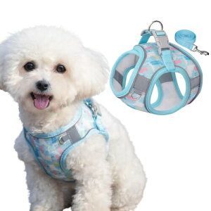 DICOCO  n[lX [h Zbg Ȃ t  ȒPE  y U o h~  xXg Lpn[lX   ^ q L \tgn[lX(u[ M