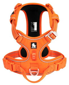 cocomall 2023ŐV pn[lX p hbO ybgpi 3Mˍޗ P iC ^A^A^Ɍ ʋC ߉\ (S, IW)