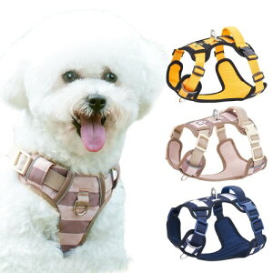 Paipeper  n[lX ^n[lX ^n[lX ^n[lX p  hbOEGA h~ Ԕ p \ ȒP  UiiXgCv