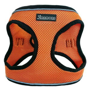 MAMORE  bVn[lX L̓ ʋC Ȃ \tg ^ ^ ` Č  Ȃ (XS, IWOrange)