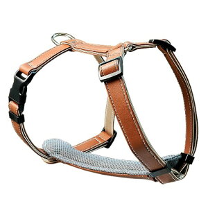 Beanspet  n[lX U[ \tgpbh ɂ \ y 4TCY 4F ^ ^ Up  }CNt@Co[f (uE, M)