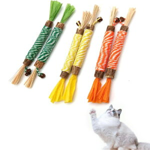 GlamDromen L  L ނ 6{  Lpi ܂ _ ރXeBbN VR  VRS ̃N[jO ^s XgX 얞iI