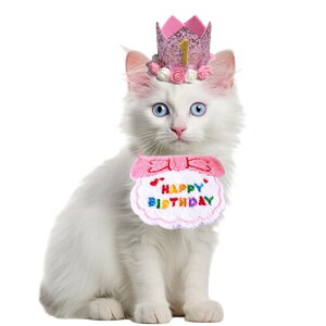 DEVENTORZ ybgpaXq Lp aObY 3_Zbg o[Xf[Xq t LO ʐ^Bet ybgObY NE t^I sN