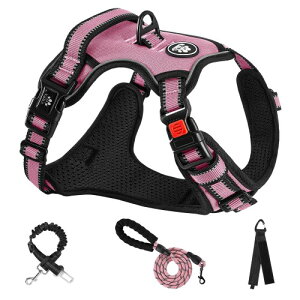 NESTROAD  n[lX p ߉\ Ԕ ^/^/^ ʋC bV s⏕ U p y S  h~ hbO P Č Hc (sN, XL)