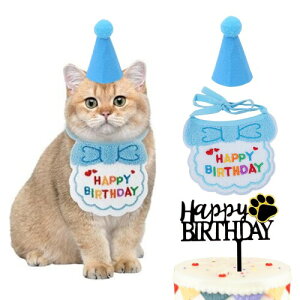 Anfiodas  aXq o_i 悾ꂩ t L ^I 킢t^I ybgpaXq t  aObY LO p[eB[(u[)