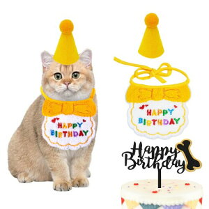 Anfiodas  aXq o_i 悾ꂩ t L ^I 킢t^I ybgpaXq t  aObY LO p[eB[ (CG[)