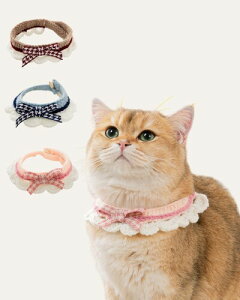 GORGSPET L  Lp  p ԕ  y ߉\ SiuEj LTCY