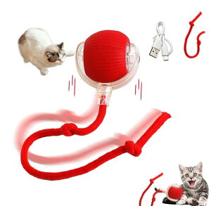 L  L{[ Lߋ lV Ld 2_Zbg 邵 L[v {[sKȓ 3[h USB[d Ԃ ^sƃXgX LV