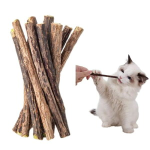 GlamDromen L  L ނ 10{  Lpi ܂ _ ރXeBbN VR VRS ̃N[jO ^s XgX 얞 i܂т̖