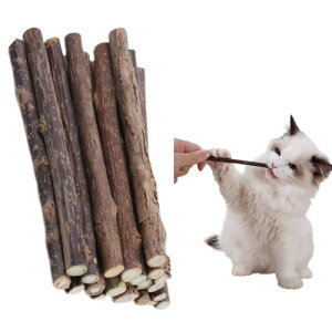 GlamDromen L  L ނ 20{  Lpi ܂ _ ރXeBbN VR VRS ̃N[jO ^s XgX 얞 i܂т̖